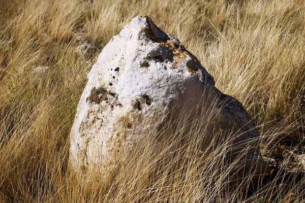 Piedra grande y solitario — Foto de Stock