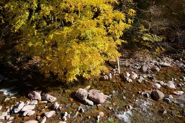 Otoño en los Pirineos — Foto de Stock