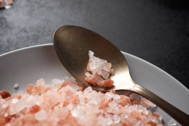 Himalaya tuzu görünümü