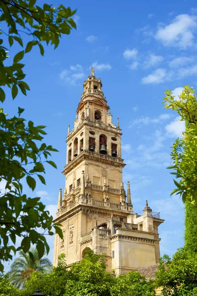 Torre da Mesquita de Córdoba — Fotografia de Stock