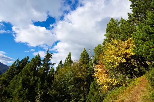 Autumn in the Pyrenees — Stock Photo, Image