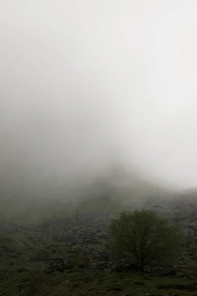 Πυρηναία στην Γαλλία — Φωτογραφία Αρχείου