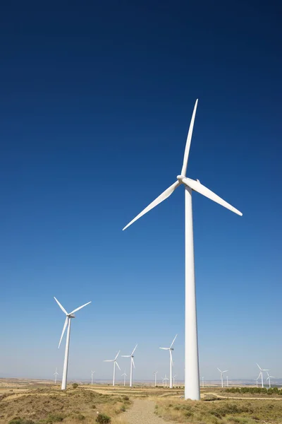 Concepto energía eólica —  Fotos de Stock