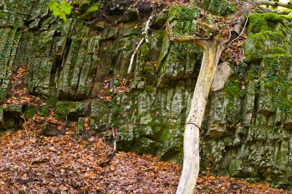 Parc national de la vallée d'Ordesa — Photo