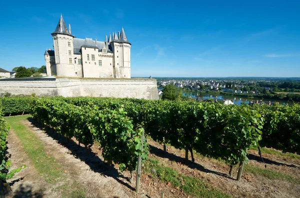 Vista do castelo de Saumur — Fotografia de Stock