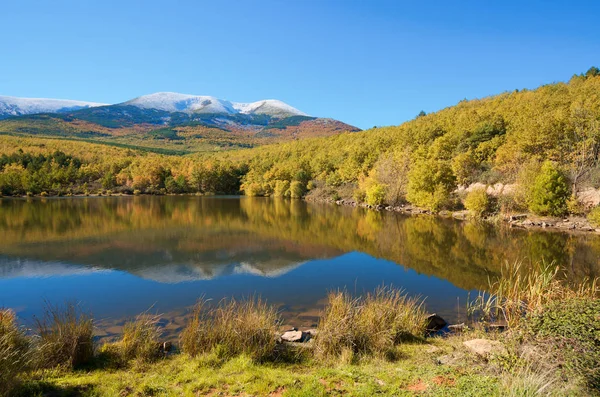 Moncayo Natural Park — Stock Photo, Image