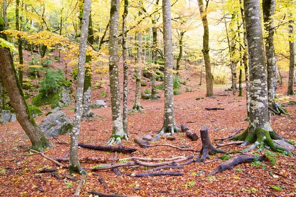 Εθνικό πάρκο Ordesa — Φωτογραφία Αρχείου