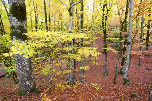 Park narodowy Ordesa — Zdjęcie stockowe