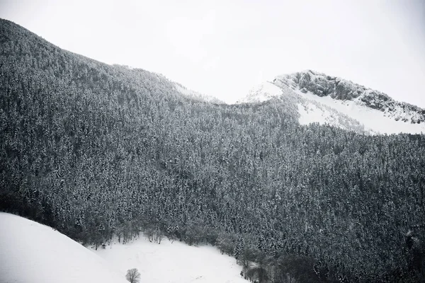 Pyrenees in France — Stock Photo, Image