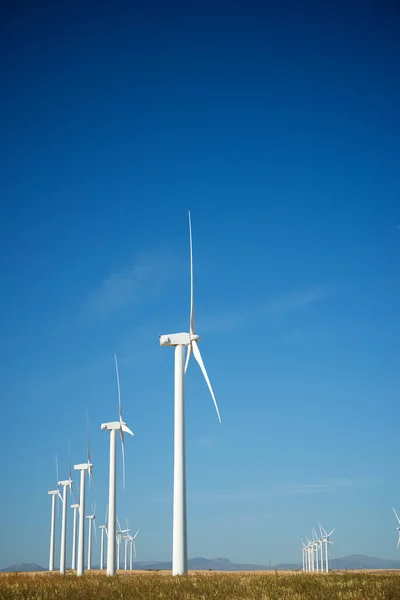 Conceito de energia eólica — Fotografia de Stock