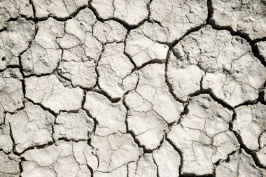 Kuraklık arazi konsepti