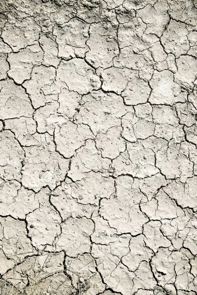 Drought land concept — Stock Photo, Image