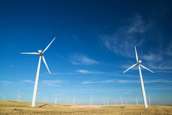 Conceito de energia eólica — Fotografia de Stock