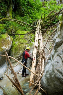 Pireneler 'de Yineleme.