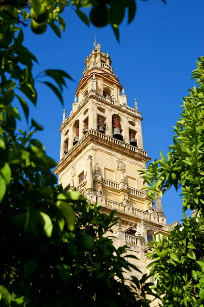 Cordoba mecset-torony — Stock Fotó