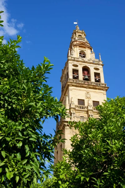 Moschee-Turm von Cordoba — Stockfoto