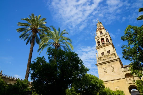 Torre Mezquita de Córdoba —  Fotos de Stock