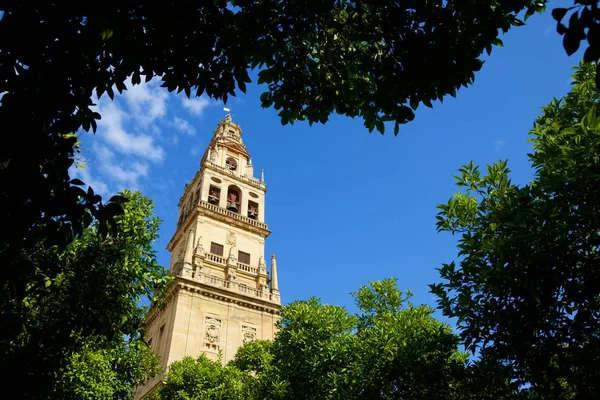 Torre Mezquita de Córdoba — Foto de Stock