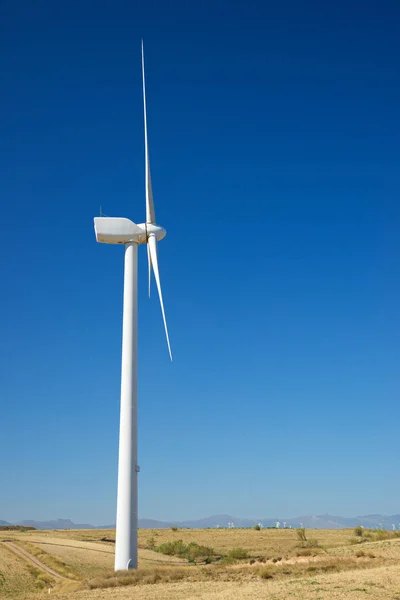 Concepto energía eólica —  Fotos de Stock