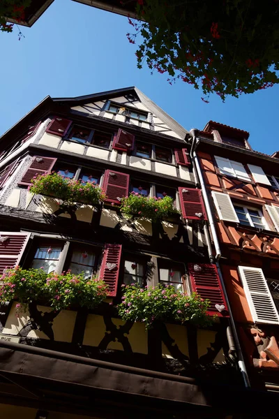 Blick auf das Gebäude in Colmar — Stockfoto