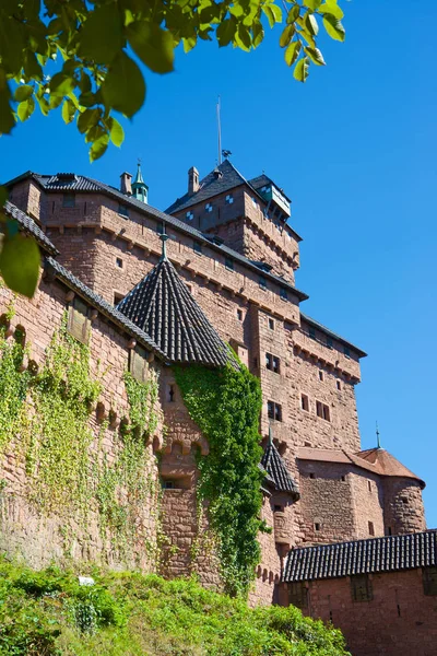 Haut-koenigsbourg vista del castillo —  Fotos de Stock