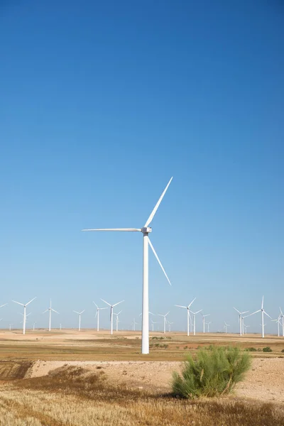 Conceito de energia eólica — Fotografia de Stock