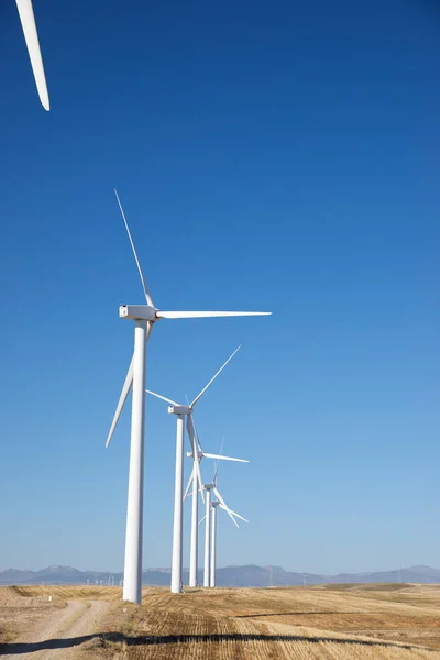 Concepto energía eólica —  Fotos de Stock