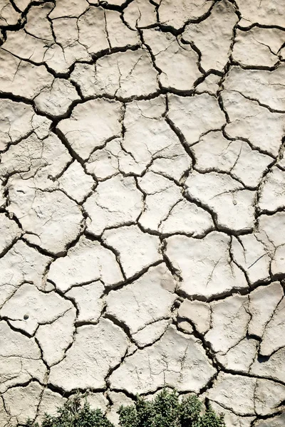 Concepto de tierra seca —  Fotos de Stock