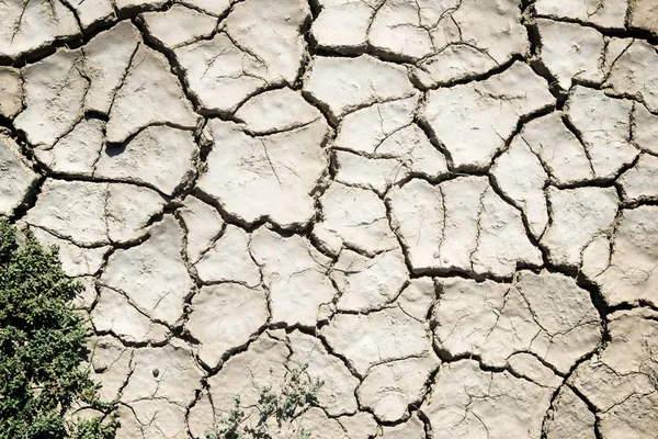 Concepto de tierra seca — Foto de Stock