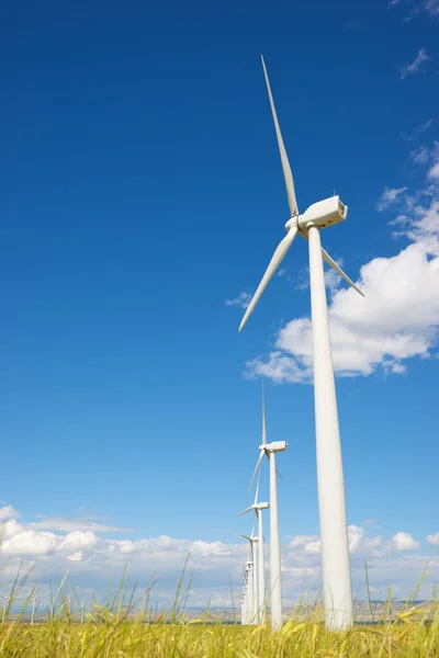 Moinhos Vento Para Produção Energia Eléctrica Província Zaragoza Aragão Espanha — Fotografia de Stock