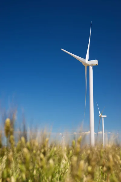 Větrné Turbíny Pro Výrobu Elektrické Energie Provincie Zaragoza Aragon Španělsku — Stock fotografie