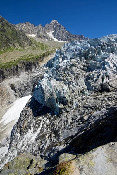 Argentiere Ledovec Pohled Chamonix Mont Blanc Massif Alpy Francii — Stock fotografie