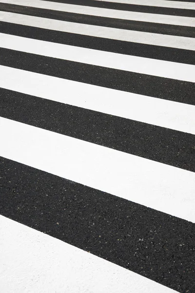 Zebra Átkelni Anélkül Hogy Bárki Átkelne Rajta — Stock Fotó