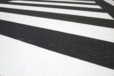 Zebra karşıya kimse geçmeden geçiyor..