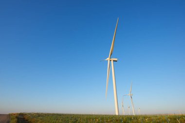 Elektrik üretimi için rüzgar türbinleri, Zaragoza ili, İspanya Aragon.