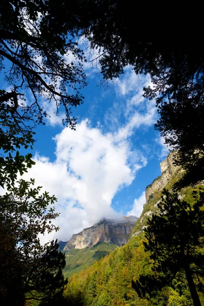 Foresta Nel Parco Nazionale Ordesa Pirenei Nella Provincia Huesca Aragona — Foto Stock