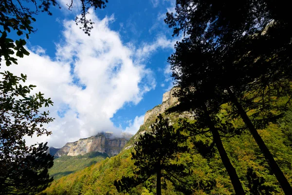 Foresta Nel Parco Nazionale Ordesa Pirenei Nella Provincia Huesca Aragona — Foto Stock