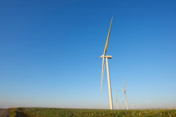 Windturbines Voor Elektrische Productie Provincie Zaragoza Aragon Spanje — Stockfoto