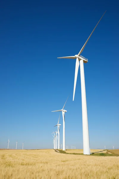 Turbinas Eólicas Para Producción Energía Eléctrica Provincia Zaragoza Aragón España — Foto de Stock