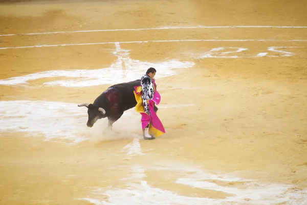 サラゴサ スペイン 2014年10月8日 闘牛中のスペインの闘牛士エル ファンディ — ストック写真