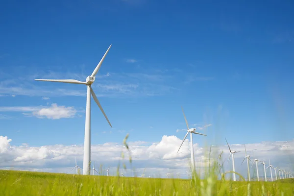 Molinos Viento Para Producción Energía Eléctrica Provincia Zaragoza Aragón España — Foto de Stock