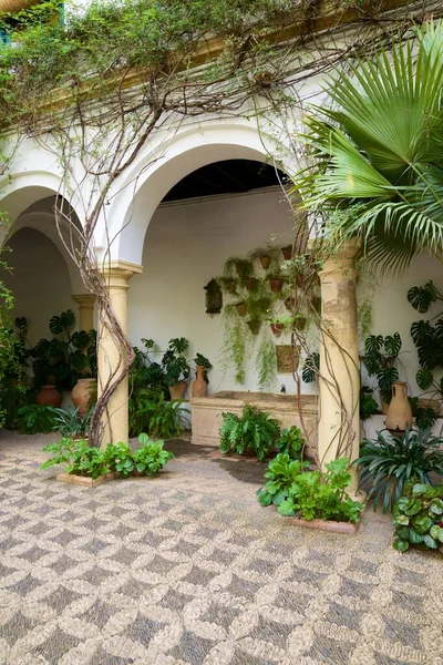 Córdoba España Octubre 2017 Vista Del Interior Del Palacio Viana — Foto de Stock