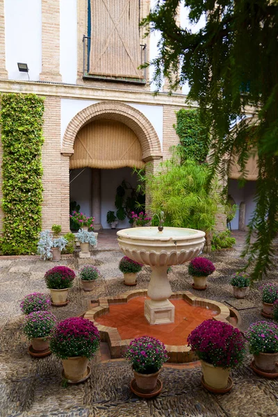 西班牙科尔多瓦 2017年10月14日 维阿纳宫的内部景观 维阿纳宫是该市访问最多的地方之一 — 图库照片