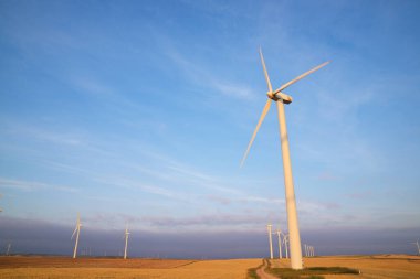 Elektrik üretimi için yel değirmenleri, Zaragoza Eyaleti, İspanya Aragon.