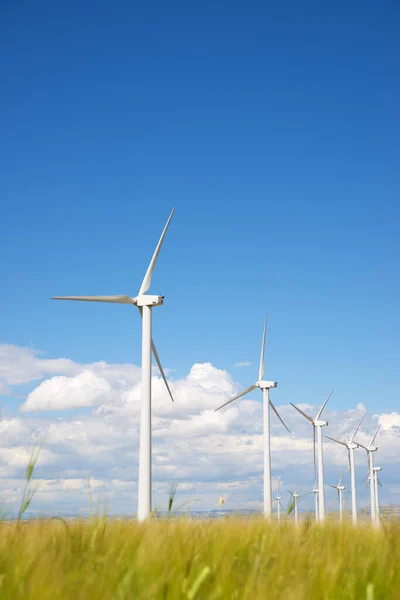 Molinos Viento Para Producción Energía Eléctrica Provincia Zaragoza Aragón España — Foto de Stock