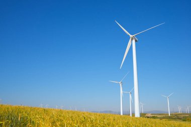 Elektrik üretimi için yel değirmenleri, Zaragoza Eyaleti, İspanya Aragon.