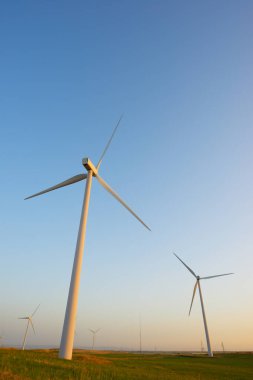 Elektrik üretimi için yel değirmenleri, Zaragoza Eyaleti, İspanya Aragon.