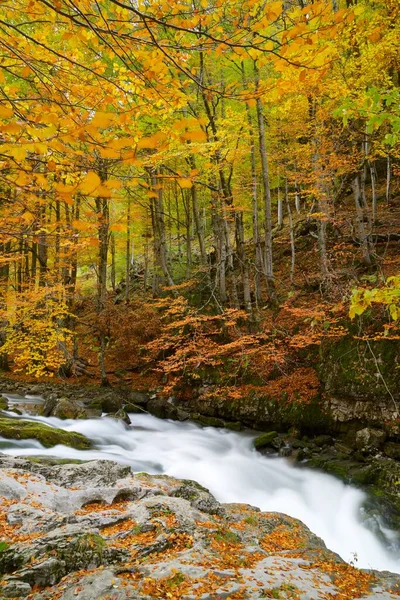 Jesień Parku Narodowym Ordesa Pireneje Huesca Aragon Hiszpanii — Zdjęcie stockowe