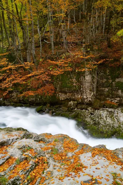 Jesień Parku Narodowym Ordesa Pireneje Huesca Aragon Hiszpanii — Zdjęcie stockowe