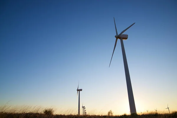 Wind Turbines Electric Power Production Zaragoza Province Aragon Spain — Stock Photo, Image